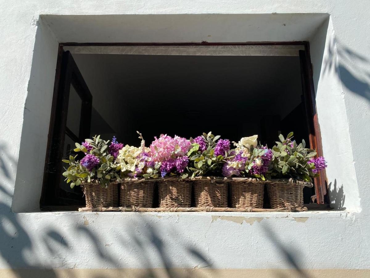 B&B La Casa Di G.G. 그로타마레 외부 사진