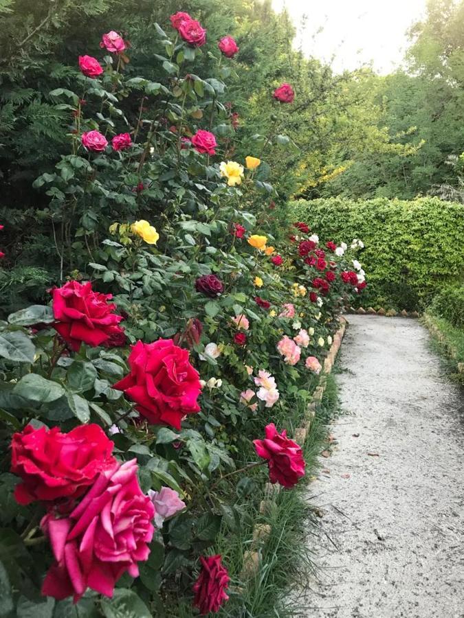 B&B La Casa Di G.G. 그로타마레 외부 사진